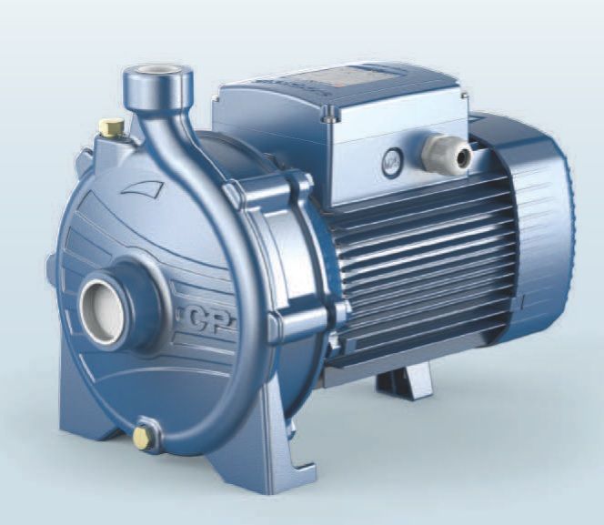 44CT26AA Pedrollo CP 160 A насос 2,2 кВт 14,4 м3/ч, напор 53 м